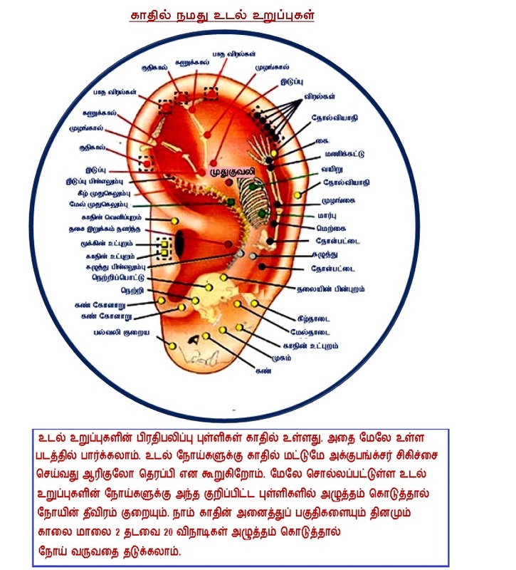 acupuncture points in tamil pdf